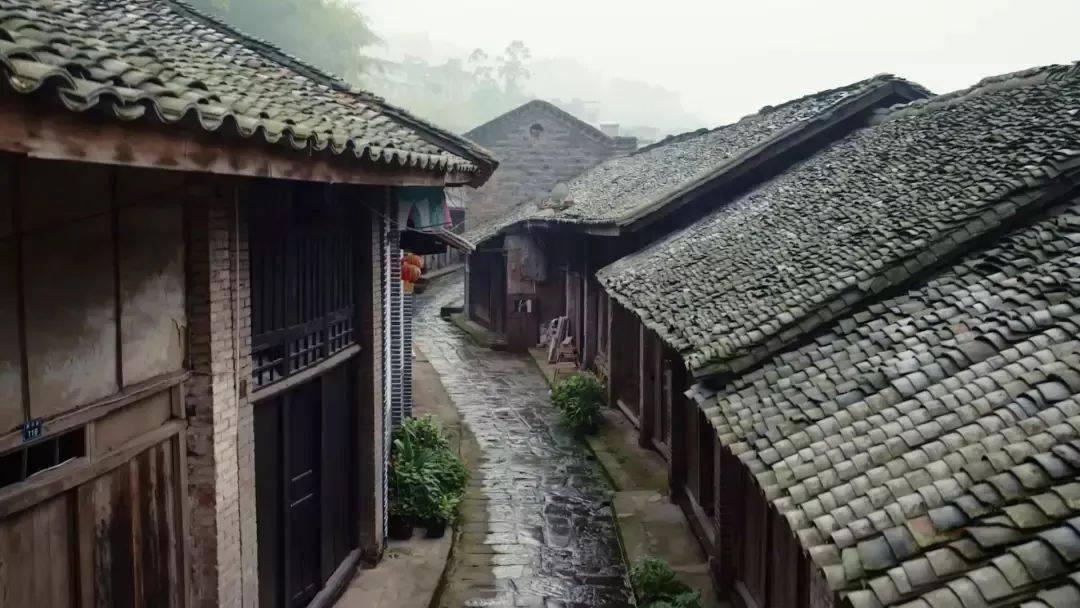 万王之王3D